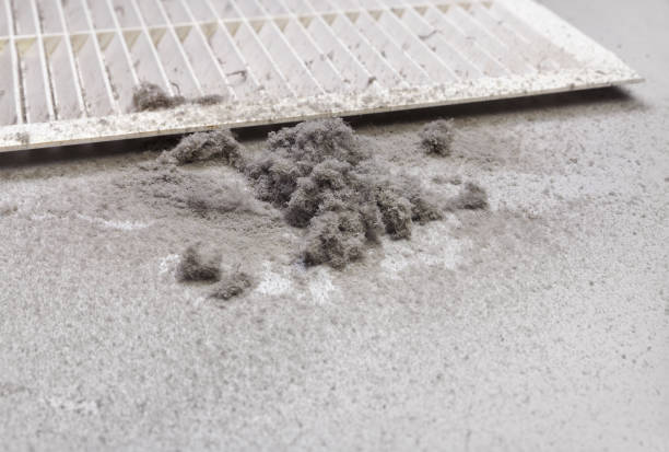 Best Air Vent Cleaning Services  in Willcox, AZ