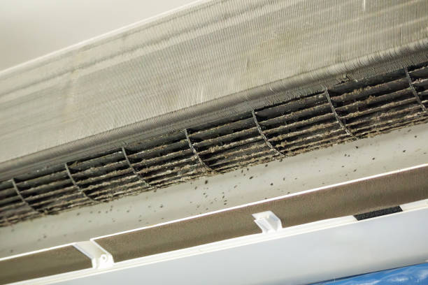 Best HVAC System Cleaning  in Willcox, AZ