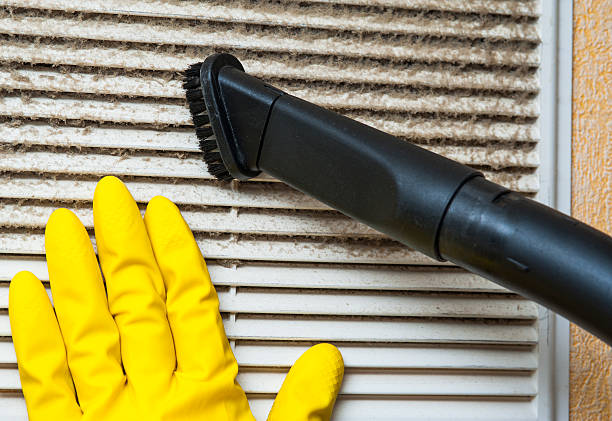 Best Affordable Air Duct Cleaning  in Willcox, AZ